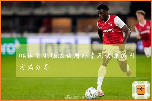 ng体育电脑版使用指南及快捷访问方式分享