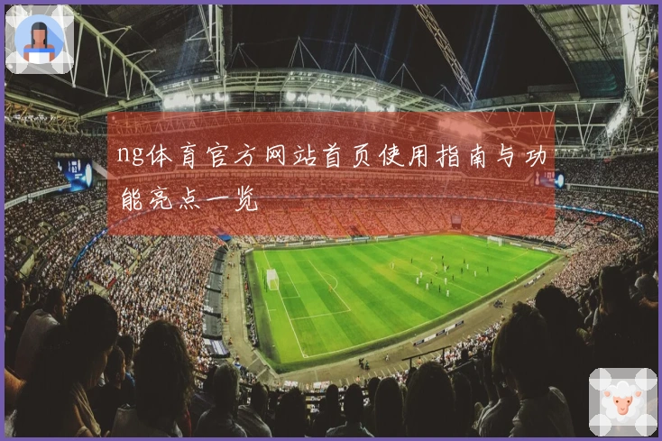 ng体育官方网站首页使用指南与功能亮点一览