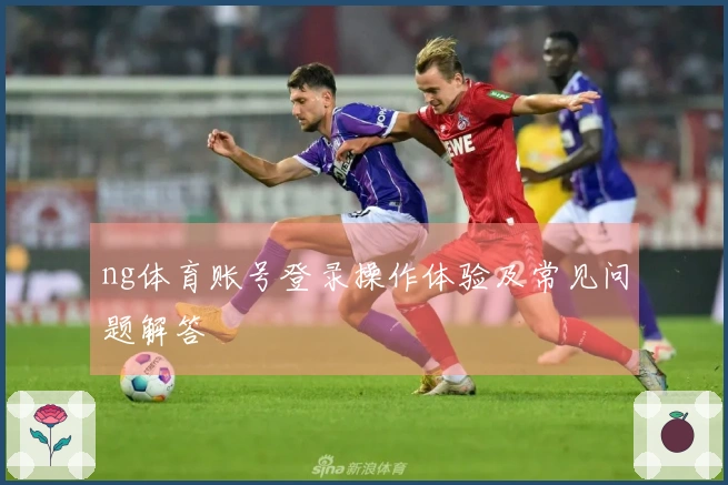 ng体育账号登录操作体验及常见问题解答
