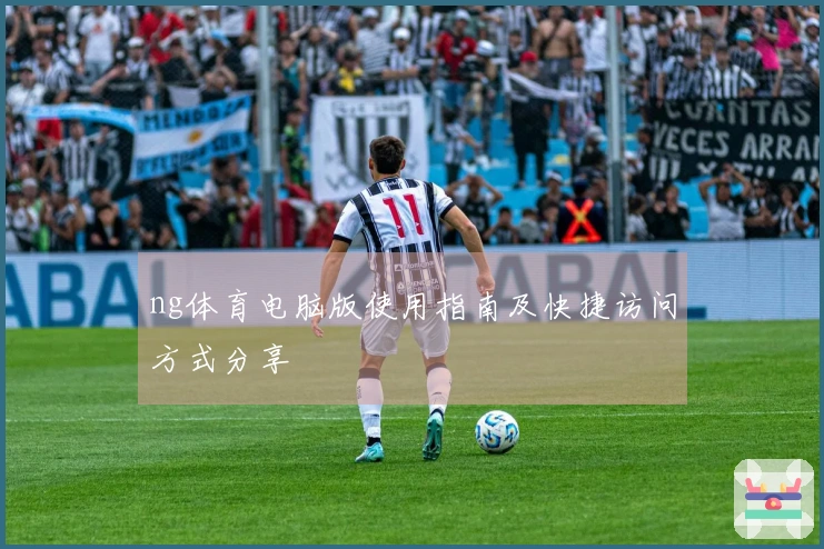 ng体育电脑版使用指南及快捷访问方式分享