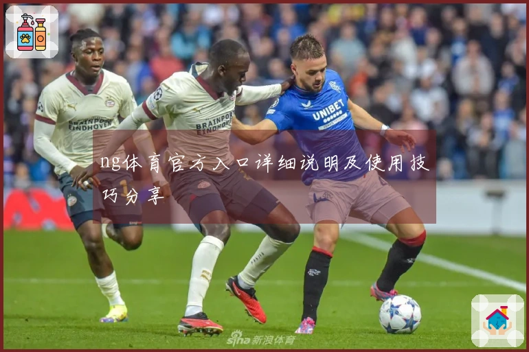 ng体育官方入口详细说明及使用技巧分享