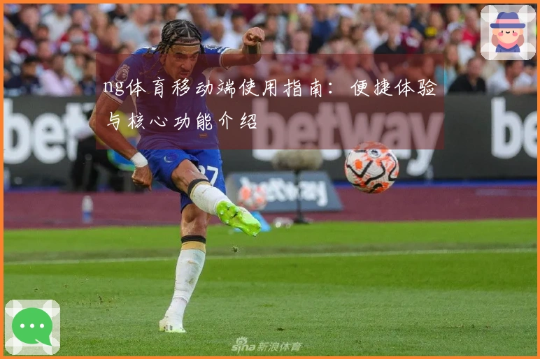 ng体育移动端使用指南:便捷体验与核心功能介绍