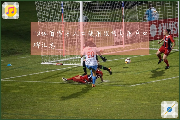 ng体育官方入口使用技巧与用户口碑汇总