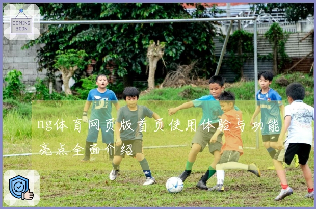ng体育网页版首页使用体验与功能亮点全面介绍