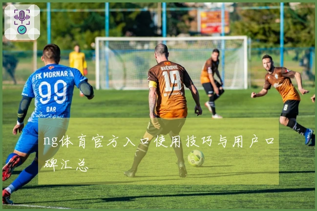 ng体育官方入口使用技巧与用户口碑汇总