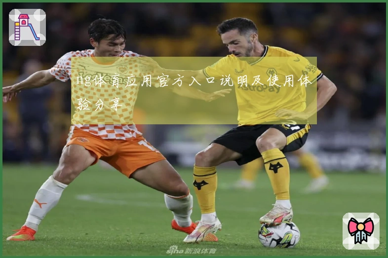ng体育应用官方入口说明及使用体验分享